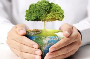Перемога закарпатських екологів у Всеукраїнському конкурсі_Ужгород24