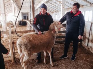 Закарпаття відвідали представники Асоціації вівчарства та козівництва Тіролю Новини Ужгород24 та Закарпаття