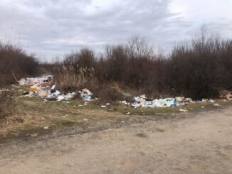 Несанкціоноване сміттєзвалище виявлено на території Вилоцької громади новини Ужгород24