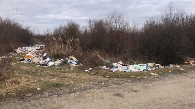 Несанкціоноване сміттєзвалище виявлено на території Вилоцької громади новини Ужгород24