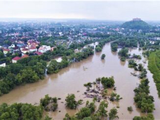 Закарпаття під загрозою підтоплень: після злив різко піднявся рівень води у річках