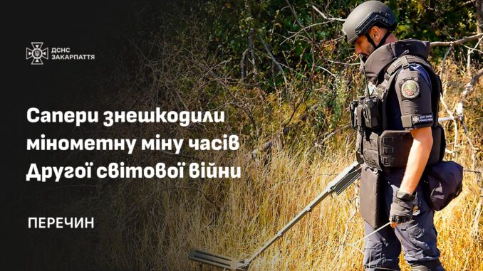 ДСНС