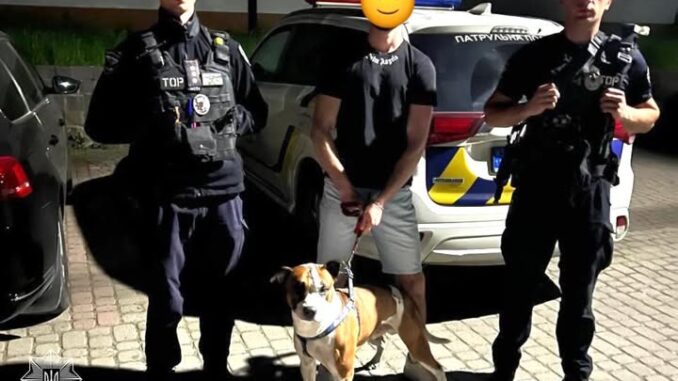 домашній улюблениць загубвся в Мукачево