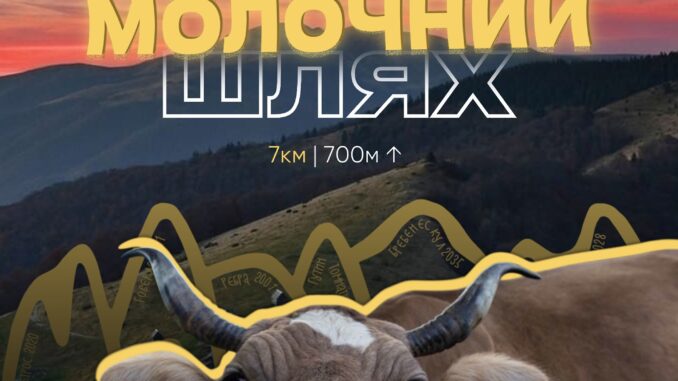 Нічний забіг