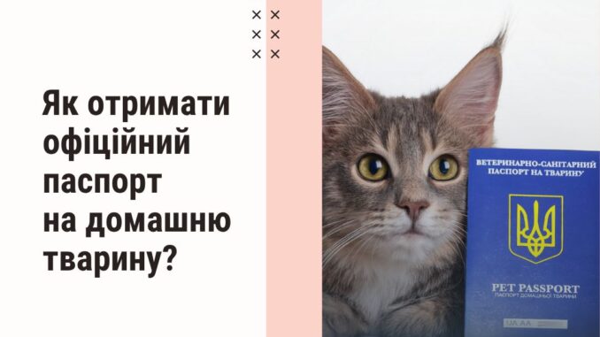ветеринарний паспорт