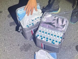 Контрабанда у термосумках: водія автобуса затримали з партією дорогих медпрепаратів на «Тисі»