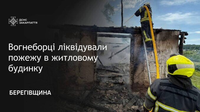 дСНС