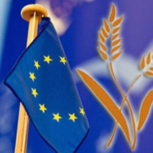 ЄС повернув торгові квоти: що чекає на українських аграріїв