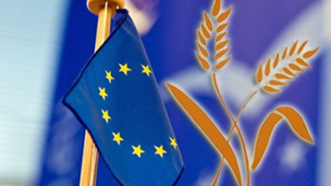 ЄС повернув торгові квоти: що чекає на українських аграріїв
