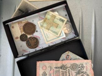 Імперські скарби на колесах: прикордонники виявили старовинні гроші на кордоні з Румунією