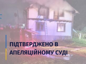 Львівський апеляційний суд залишив у силі вирок мешканцю села Родниківка Свалявського району, обвинуваченому у кількох злочинах проти життя, власності та громадської безпеки.