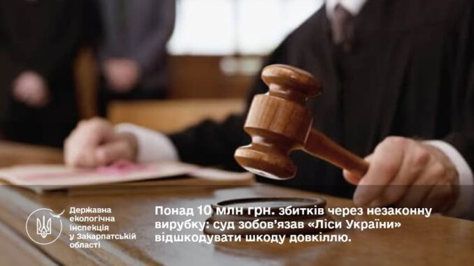 Ліси