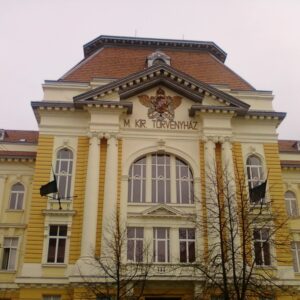 Закарпатський угорський інститут стане університетом