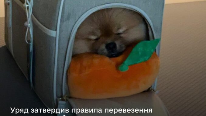тварина