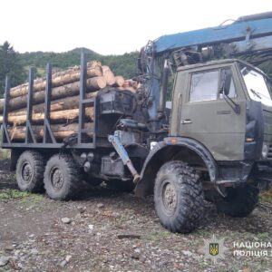 Незаконна лісозаготівля на Рахівщині: вантажівку з ялиною затримали в Ясінях