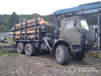 Незаконна лісозаготівля на Рахівщині: вантажівку з ялиною затримали в Ясінях