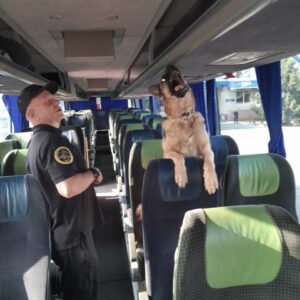 На митному посту «Дякове» на україно-румунському кордоні у ніч на 17 серпня закарпатські митники спільно з прикордонниками виявили масштабну партію прихованих тютюнових виробів.