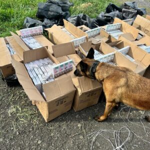 Контрабанда до ЄС: на кордоні з Угорщиною виявили 12 тисяч пачок сигарет у вантажному потязі