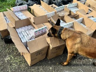 Контрабанда до ЄС: на кордоні з Угорщиною виявили 12 тисяч пачок сигарет у вантажному потязі