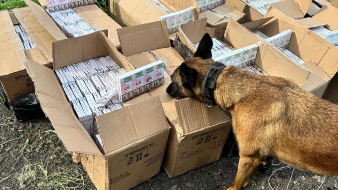 Контрабанда до ЄС: на кордоні з Угорщиною виявили 12 тисяч пачок сигарет у вантажному потязі Контрабанда до ЄС: на кордоні з Угорщиною виявили 12 тисяч пачок сигарет у вантажному потязі