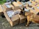 Контрабанда до ЄС: на кордоні з Угорщиною виявили 12 тисяч пачок сигарет у вантажному потязі