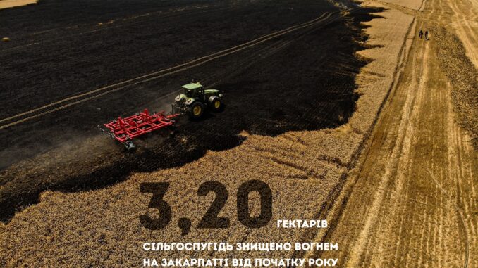 Палаюче жниво: на Закарпатті вогонь знищив понад 3 гектари зернових із початку року