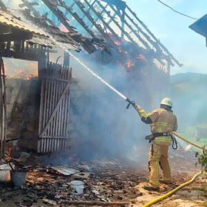 Пожежа на Рахівщині: вогнеборці врятували тварин з епіцентру займання