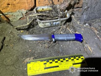 12 років в’язниці за вбивство односельця на Хустщині