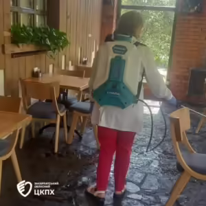 У селі Іза триває боротьба зі спалахом гепатиту А: перевірено заклад ОСГ «Бараново»