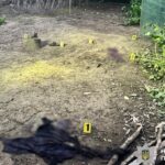 У ніч на 4 серпня на Мукачівщині внаслідок вибуху гранати тяжко травмувався 16-річний хлопець. Зараз він перебуває в реанімації у критичному стані, - повідомляє поліція Закарпатської області.
