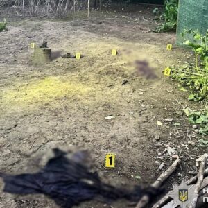 У ніч на 4 серпня на Мукачівщині внаслідок вибуху гранати тяжко травмувався 16-річний хлопець. Зараз він перебуває в реанімації у критичному стані, - повідомляє поліція Закарпатської області.