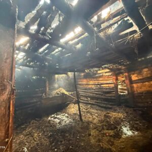 На Берегівщині рятувальники врятували 5-річного хлопчика з пожежі