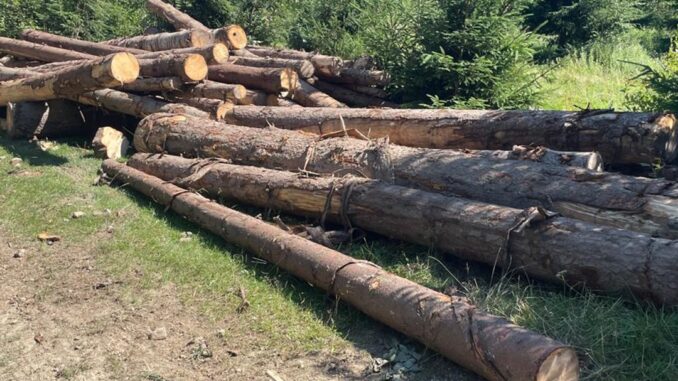 Департамент стратегічних розслідувань Національної поліції України