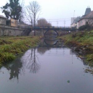 Річка Верке на Берегівщині забруднена стічними водамиРічка Верке на Берегівщині забруднена стічними водами