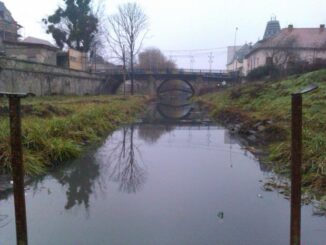 Річка Верке на Берегівщині забруднена стічними водамиРічка Верке на Берегівщині забруднена стічними водами