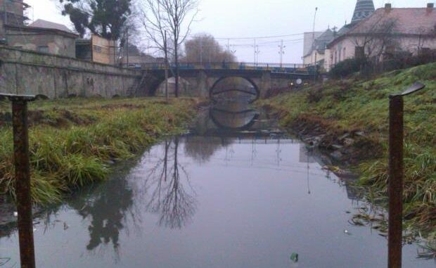 Річка Верке на Берегівщині забруднена стічними водами Річка Верке на Берегівщині забруднена стічними водамиРічка Верке на Берегівщині забруднена стічними водами