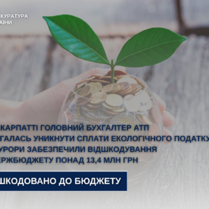 В Ужгороді головний бухгалтер КП ухилилась від сплати податків на 13,4 млн грн