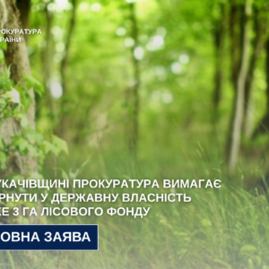 Мукачівська прокуратура оскаржує передачу лісових земель Полянській сільраді