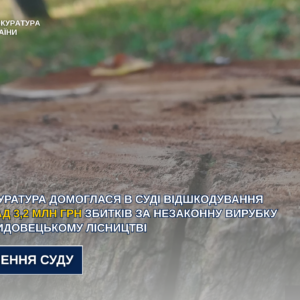 На Закарпатті стягнуть 3,2 млн грн з ДП «Ліси України» за незаконну вирубку у Свидовецькому лісництві