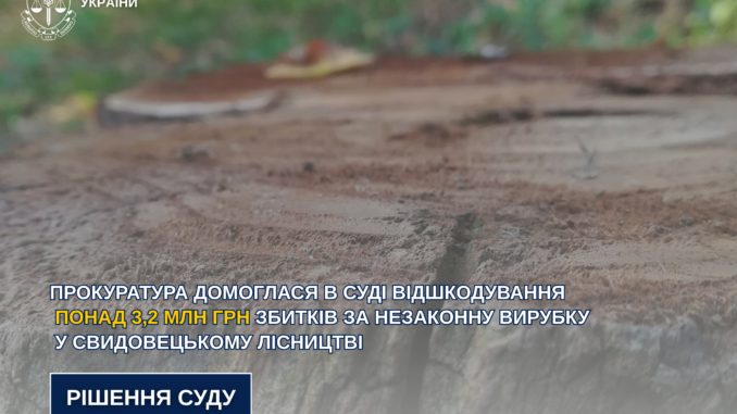 На Закарпатті стягнуть 3,2 млн грн з ДП «Ліси України» за незаконну вирубку у Свидовецькому лісництві