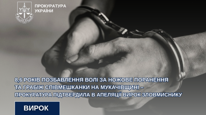 Вдарив колишню ножем і пограбував: на Закарпатті суд залишив чинним вирок нападнику з Чинадійова Вдарив колишню ножем і пограбував: на Закарпатті суд залишив чинним вирок нападнику з Чинадійова