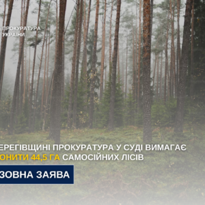 На Берегівщині прокуратура через суд вимагає узаконити понад 44 гектари самосійних лісів