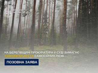 На Берегівщині прокуратура через суд вимагає узаконити понад 44 гектари самосійних лісів