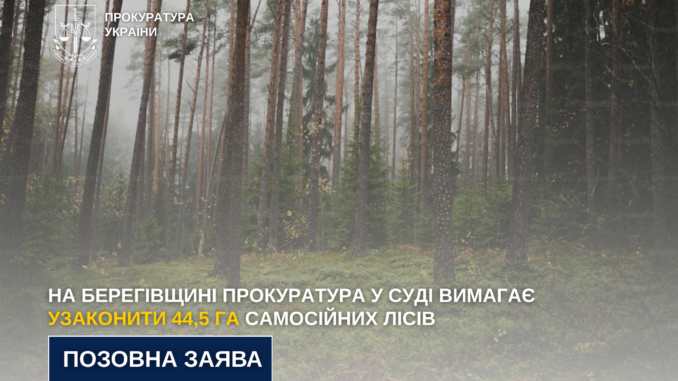 545454На Берегівщині прокуратура через суд вимагає узаконити понад 44 гектари самосійних лісів55425-10-14-1760452667 На Берегівщині прокуратура через суд вимагає узаконити понад 44 гектари самосійних лісів