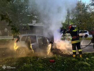 Тракторист врятував авто від знищення: в Ужгороді під час руху загорівся Ford Fiesta (фото)