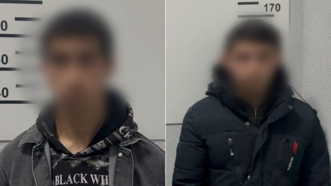 Жорстоке вбивство подружжя пенсіонерів на Закарпатті Жорстоке вбивство подружжя пенсіонерів на Закарпатті