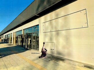 Гусячий маршрут Мукачева: у місті з’явиться нова бронзова скульптура гусака