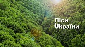 Прокурори через суд домагаються захисту унікальних пралісів Карпат