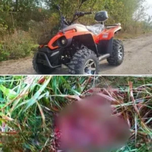 На Закарпатті туристи на квадроциклах жорстоко побили місцевого мешканця