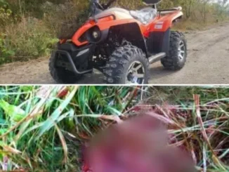 На Закарпатті туристи на квадроциклах жорстоко побили місцевого мешканця